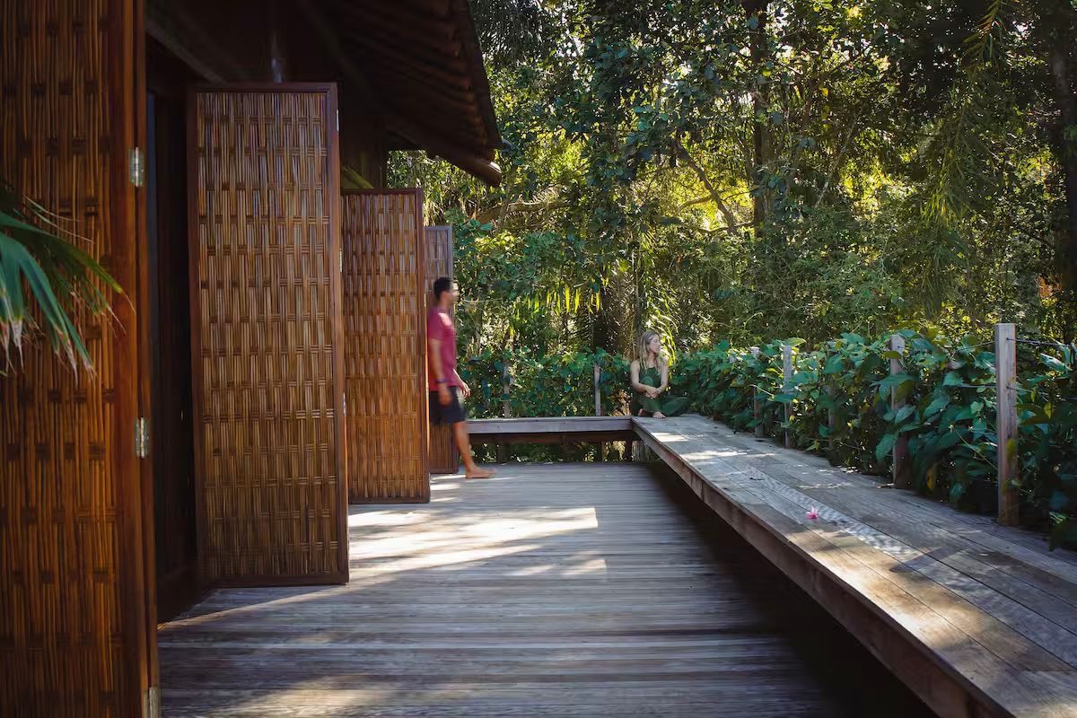 Deck de madera entre la selva